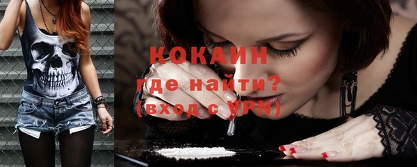 мдпв Осташков