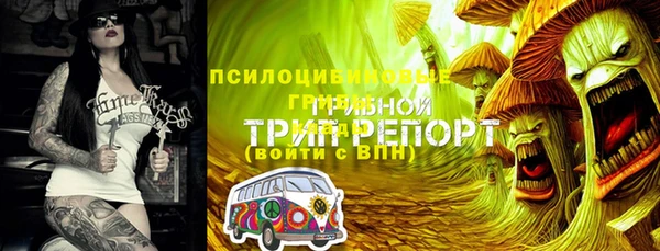 тгк Балахна