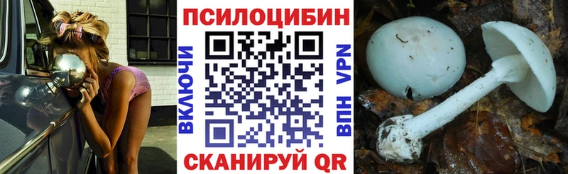 Галлюциногенные грибы Cubensis  маркетплейс наркотические препараты  Сунжа 