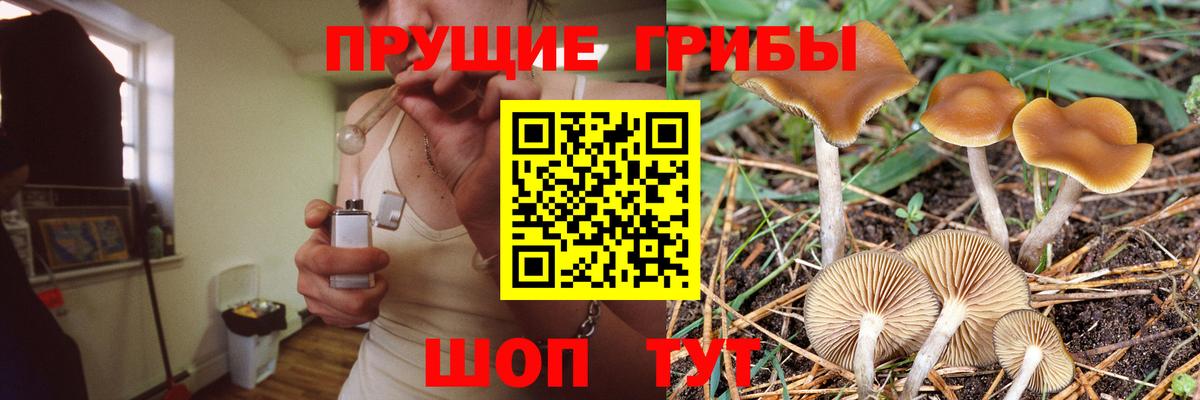 Галлюциногенные грибы GOLDEN TEACHER Сунжа